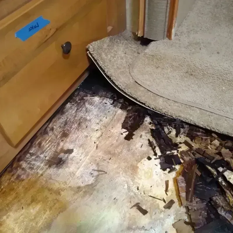 Wood Floor Water Damage in Vermilion, OH